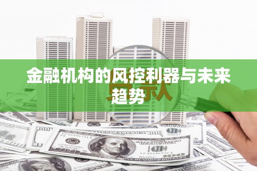 公馆金融机构的风控利器与未来趋势