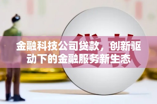 公馆金融科技公司贷款，创新驱动下的金融服务新生态