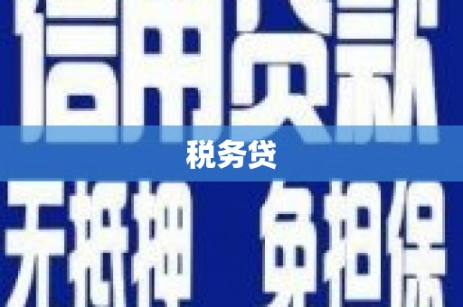 公馆税务贷