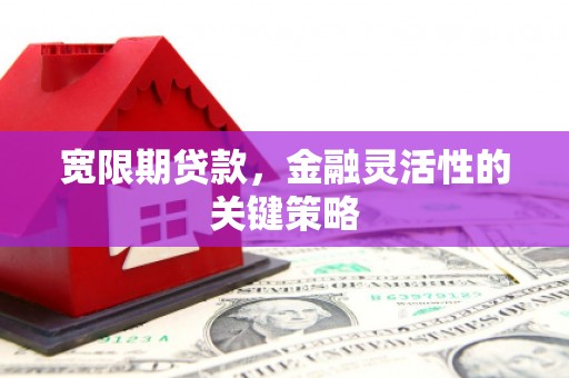 公馆宽限期贷款，金融灵活性的关键策略