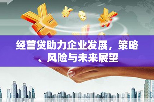 公馆经营贷助力企业发展，策略、风险与未来展望
