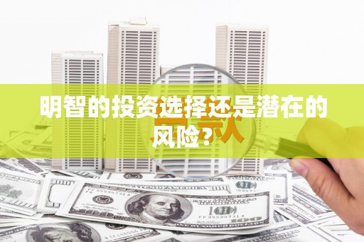 公馆明智的投资选择还是潜在的风险？