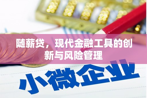 公馆随薪贷，现代金融工具的创新与风险管理