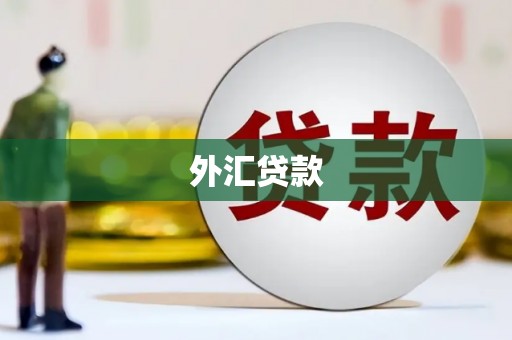 公馆外汇贷款