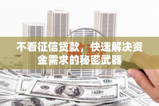 公馆不看征信贷款，快速解决资金需求的秘密武器