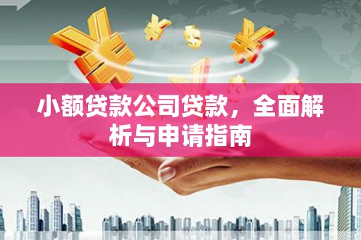 公馆小额贷款公司贷款，全面解析与申请指南