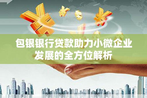 公馆包银银行贷款助力小微企业发展的全方位解析