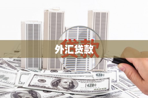 公馆外汇贷款