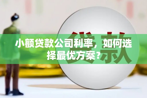 公馆小额贷款公司利率，如何选择最优方案？