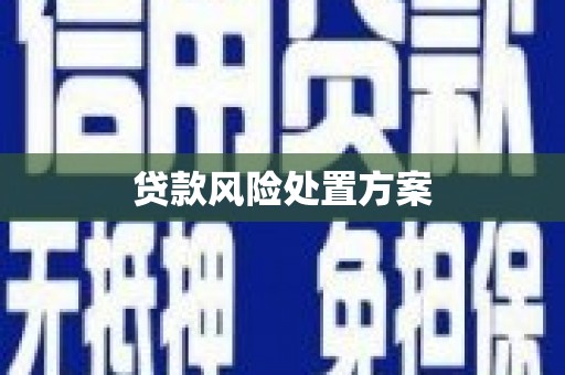 公馆贷款风险处置方案