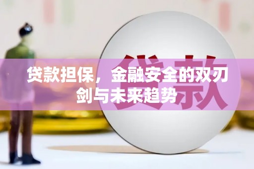 公馆贷款担保，金融安全的双刃剑与未来趋势