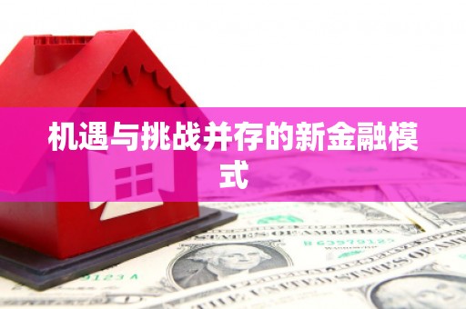 公馆机遇与挑战并存的新金融模式