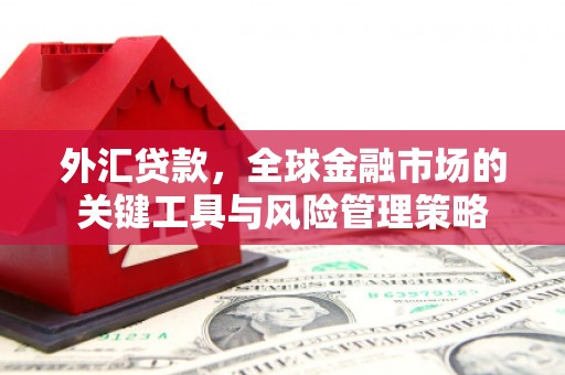 公馆外汇贷款，全球金融市场的关键工具与风险管理策略