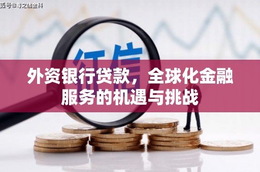 公馆外资银行贷款，全球化金融服务的机遇与挑战
