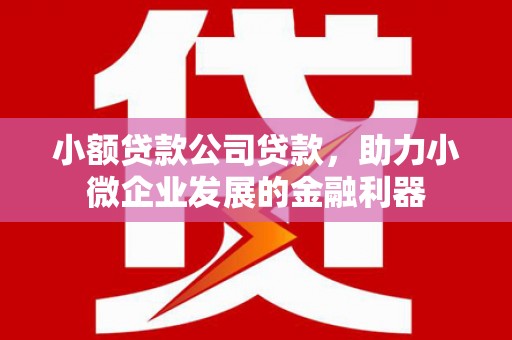 公馆小额贷款公司贷款，助力小微企业发展的金融利器