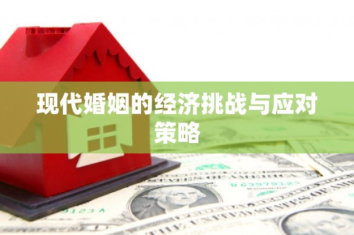 公馆现代婚姻的经济挑战与应对策略