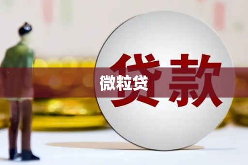 公馆微粒贷