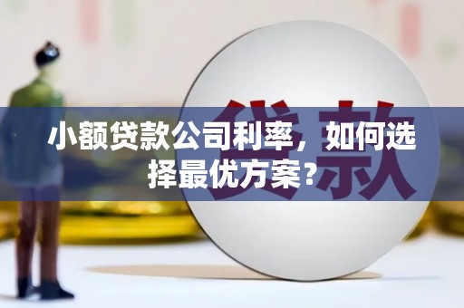 公馆小额贷款公司利率，如何选择最优方案？