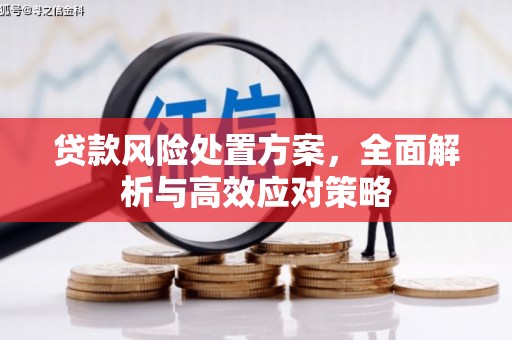 公馆贷款风险处置方案，全面解析与高效应对策略