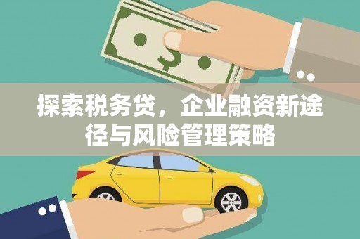 公馆探索税务贷，企业融资新途径与风险管理策略