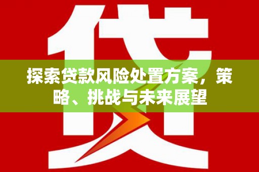 公馆探索贷款风险处置方案，策略、挑战与未来展望