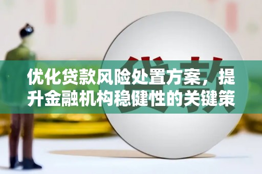 公馆优化贷款风险处置方案，提升金融机构稳健性的关键策略
