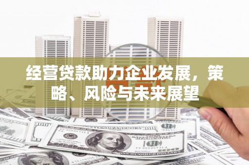 公馆经营贷款助力企业发展，策略、风险与未来展望