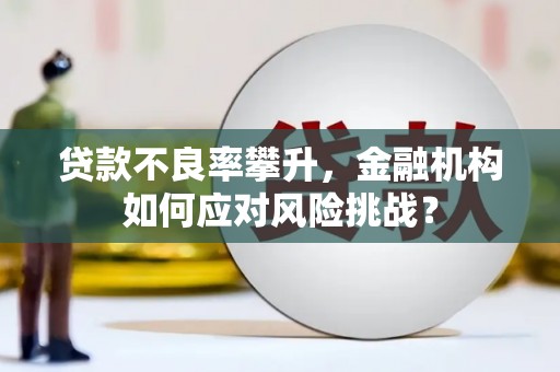 公馆贷款不良率攀升，金融机构如何应对风险挑战？