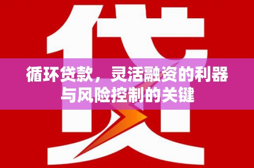 公馆循环贷款，灵活融资的利器与风险控制的关键