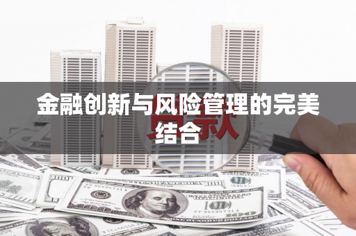 公馆金融创新与风险管理的完美结合