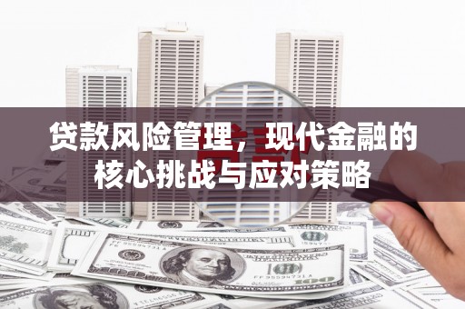 公馆贷款风险管理，现代金融的核心挑战与应对策略