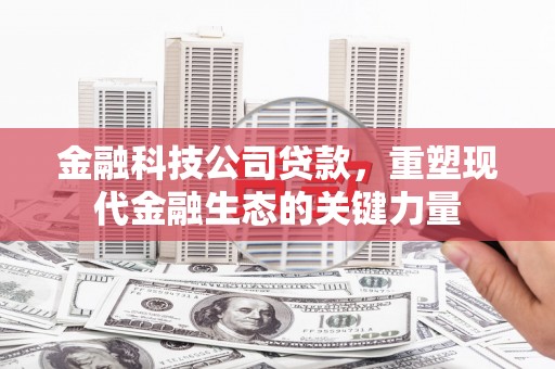 公馆金融科技公司贷款，重塑现代金融生态的关键力量