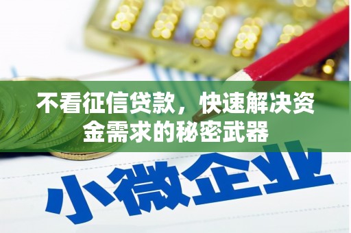 公馆不看征信贷款，快速解决资金需求的秘密武器