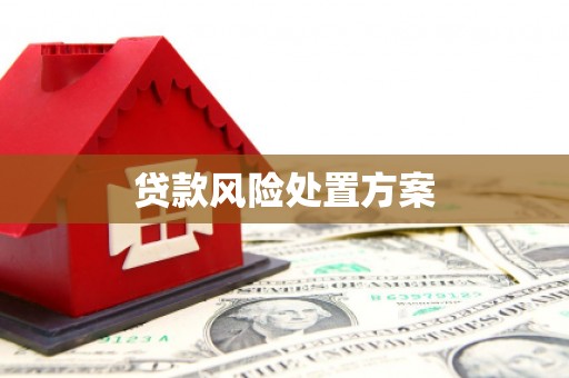 公馆贷款风险处置方案