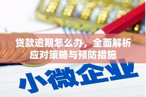 公馆贷款逾期怎么办，全面解析应对策略与预防措施