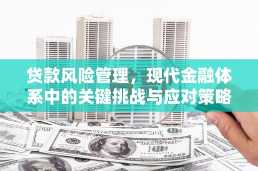 公馆贷款风险管理，现代金融体系中的关键挑战与应对策略