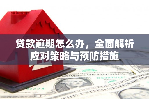 公馆贷款逾期怎么办，全面解析应对策略与预防措施