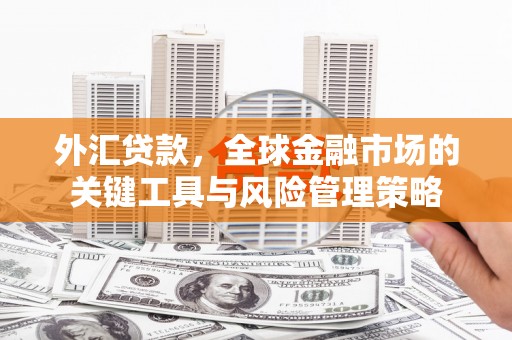 公馆外汇贷款，全球金融市场的关键工具与风险管理策略