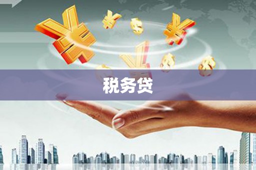 公馆税务贷