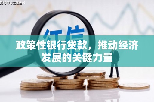 公馆政策性银行贷款，推动经济发展的关键力量