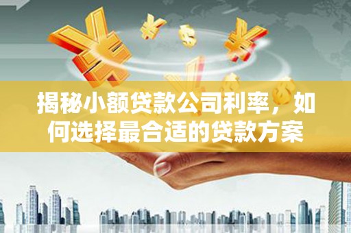公馆揭秘小额贷款公司利率，如何选择最合适的贷款方案