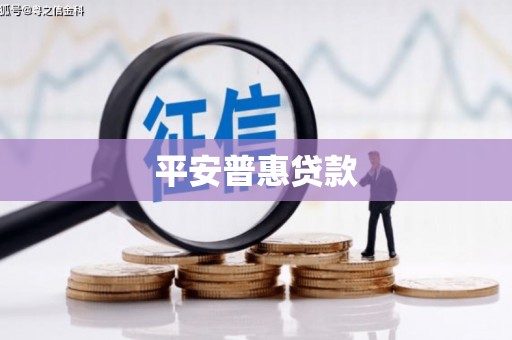 公馆平安普惠贷款