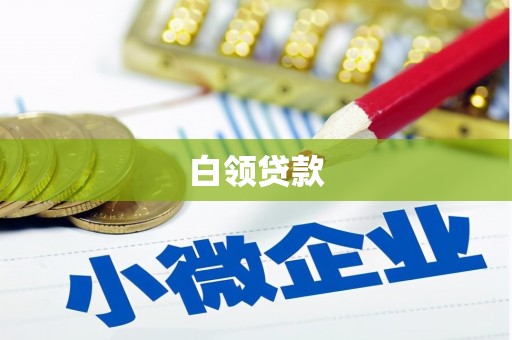 公馆白领贷款