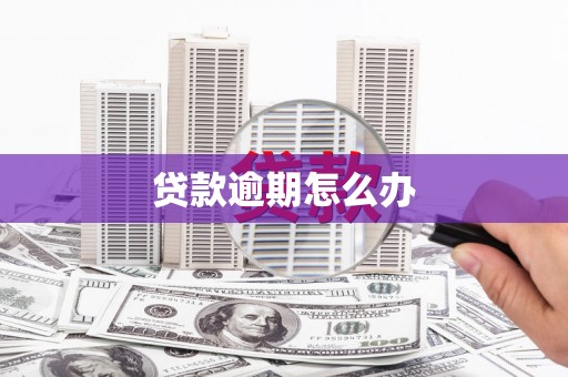 公馆贷款逾期怎么办