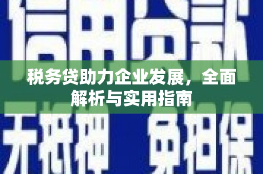 公馆税务贷助力企业发展，全面解析与实用指南