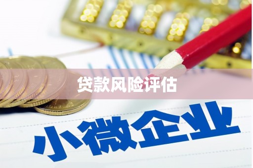公馆贷款风险评估