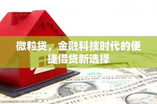 公馆微粒贷，金融科技时代的便捷借贷新选择