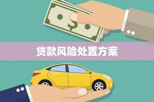 公馆贷款风险处置方案