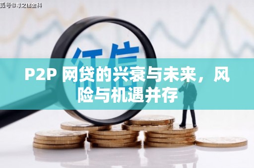 公馆P2P 网贷的兴衰与未来，风险与机遇并存