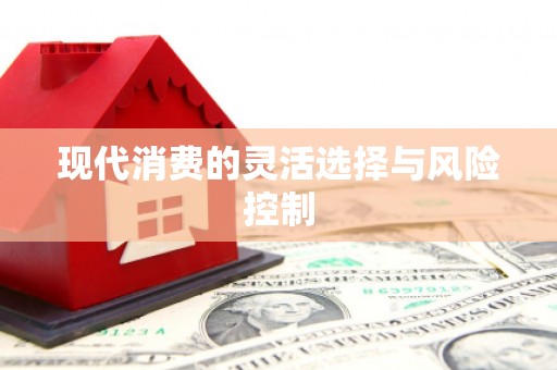 公馆现代消费的灵活选择与风险控制
